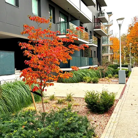 Prime Time - 24h Check -in - Parking W Cenie