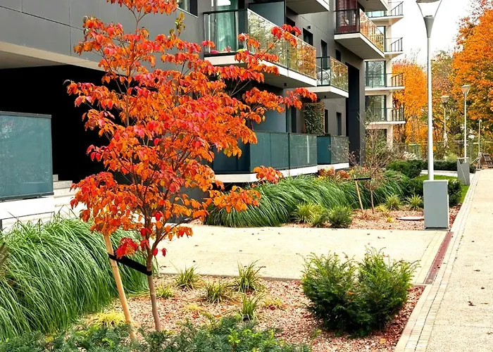 Prime Time - 24h Check -in - Parking W Cenie